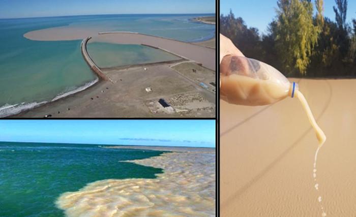 Efecto De Las Lluvias En El Fitoplancton Estación De Fotobiología Playa Unión 